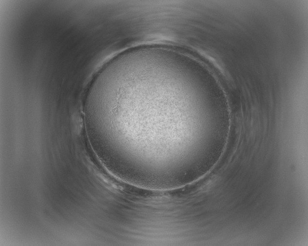 X0000068831363200605081202