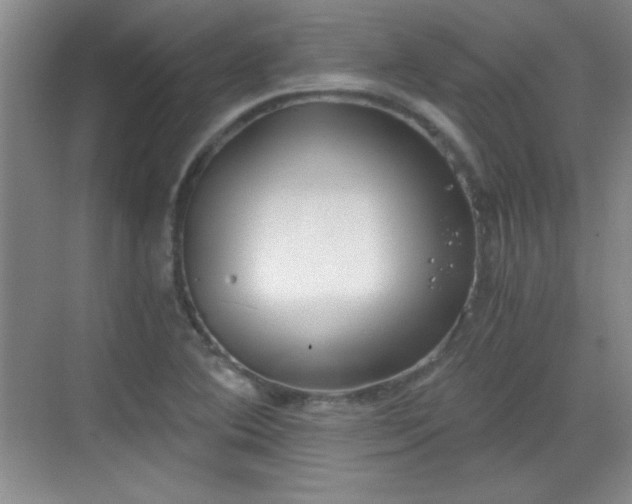 X0000068831364200605081202