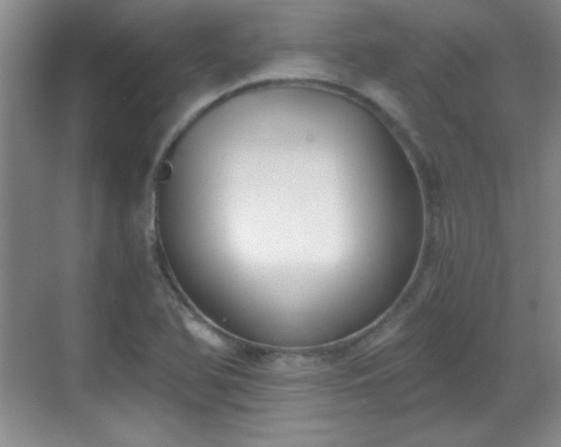 X0000068831366200605081202