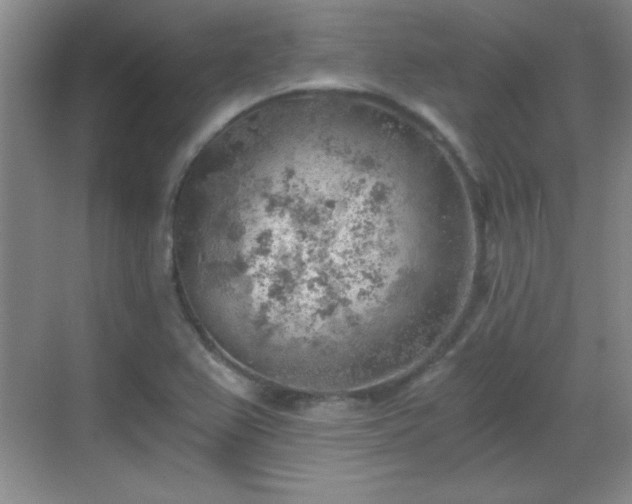 X0000068831367200605081202