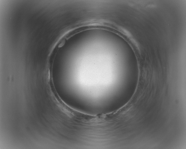 X0000068831368200605081202