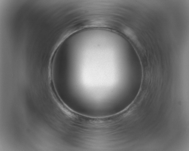 X0000068831370200605081202