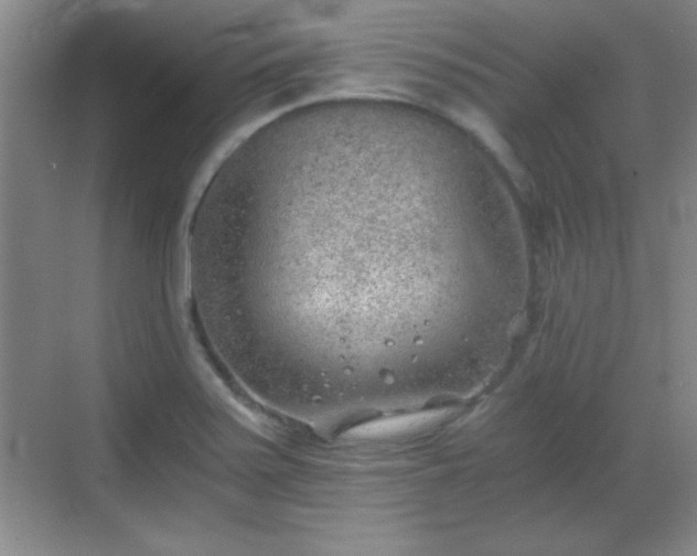 X0000068831371200605081202