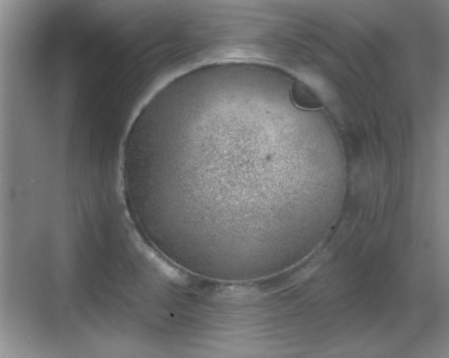 X0000068831374200605081202