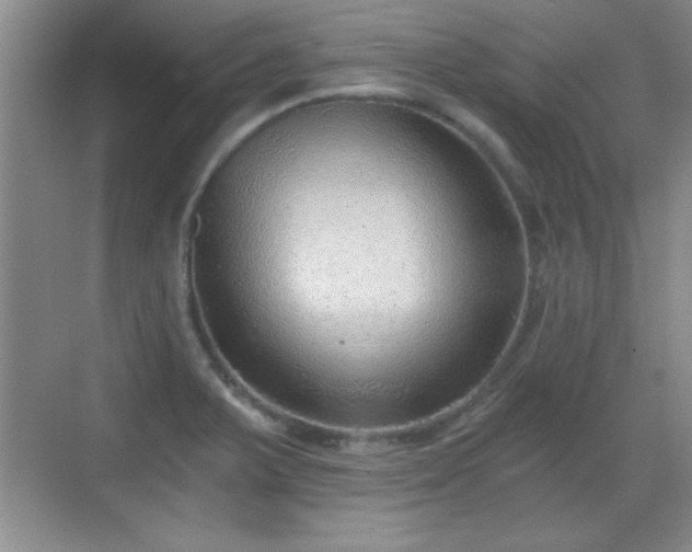 X0000068831375200605081202