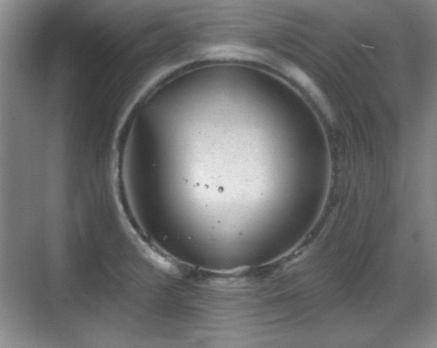 X0000068831376200605081202