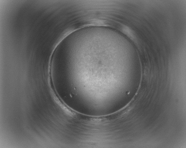 X0000068831378200605081202