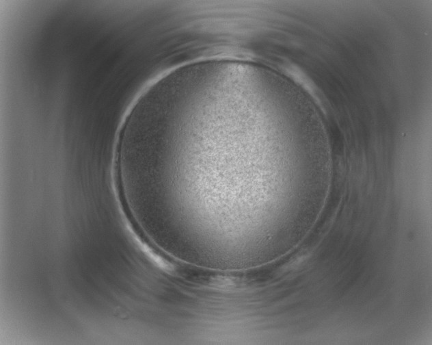 X0000068831379200605081202