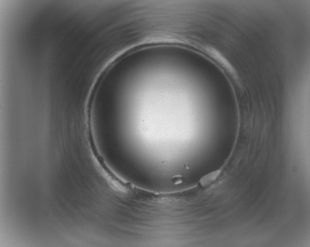 X0000068831380200605081202