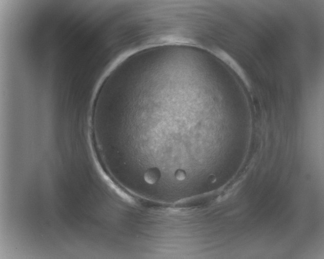 X0000068831381200605081202