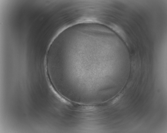 X0000068831382200605081202