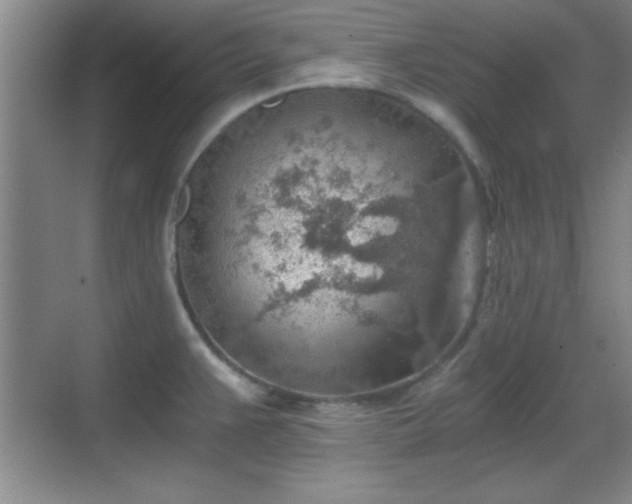 X0000068831383200605081202