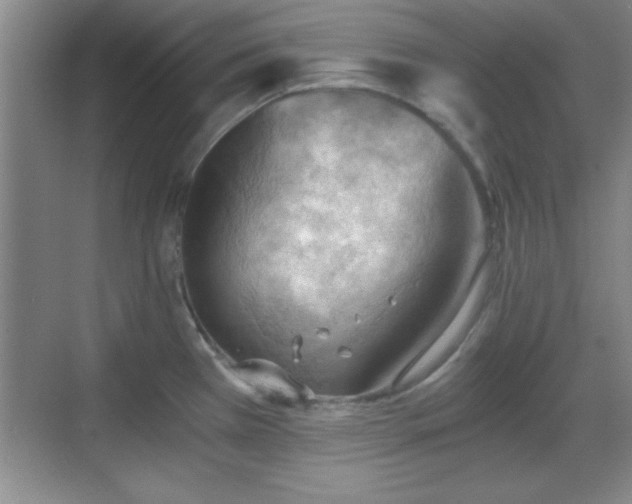 X0000068831385200605081202