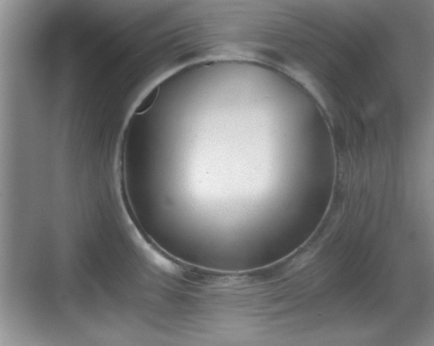 X0000068831387200605081202