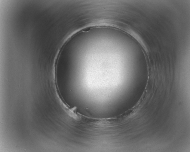 X0000068831388200605081202