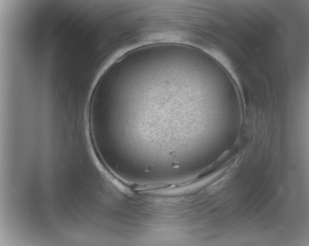 X0000068831389200605081202