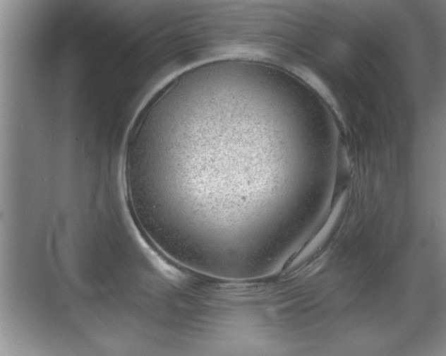 X0000068831391200605081202