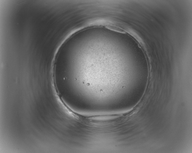 X0000068831392200605081202