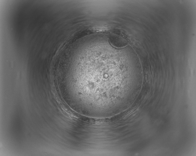 X0000068831393200605081201