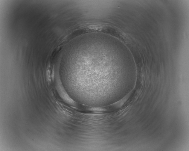 X0000068831394200605081201