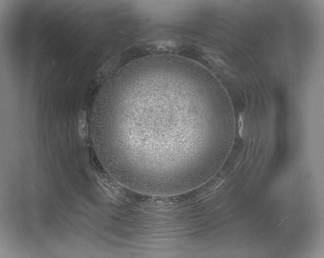 X0000068831395200605081201