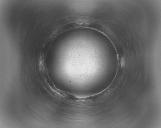 X0000068831396200605081201