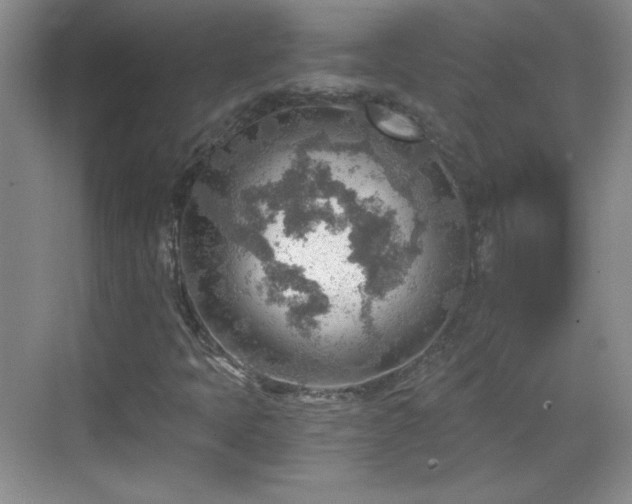 X0000068831397200605081201