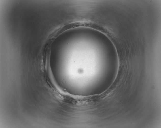 X0000068831398200605081201