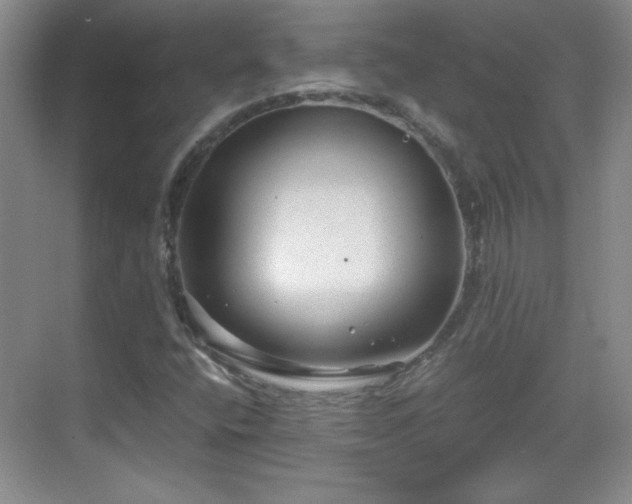 X0000068831400200605081201