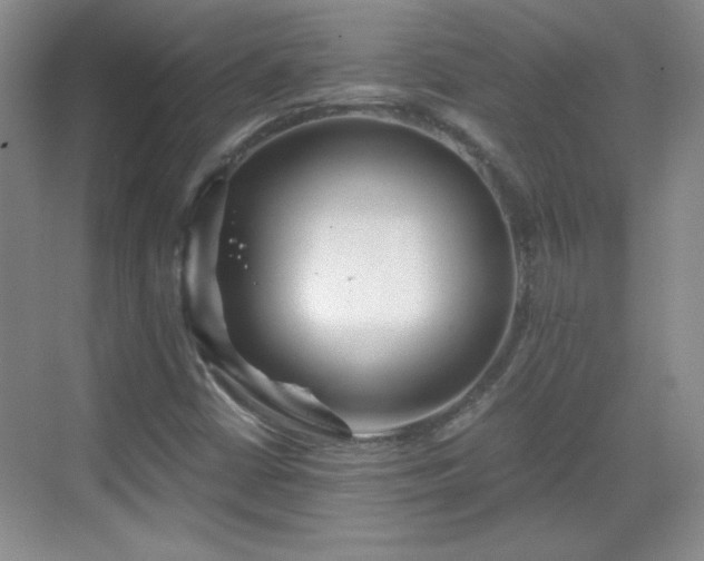 X0000068831402200605081201