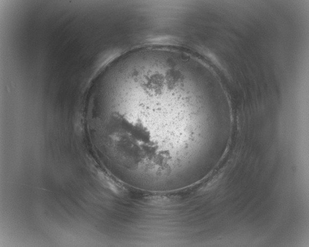 X0000068831405200605081201