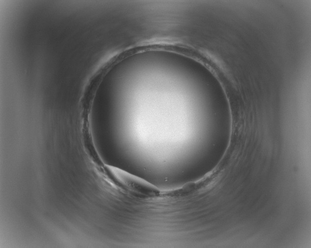 X0000068831406200605081201