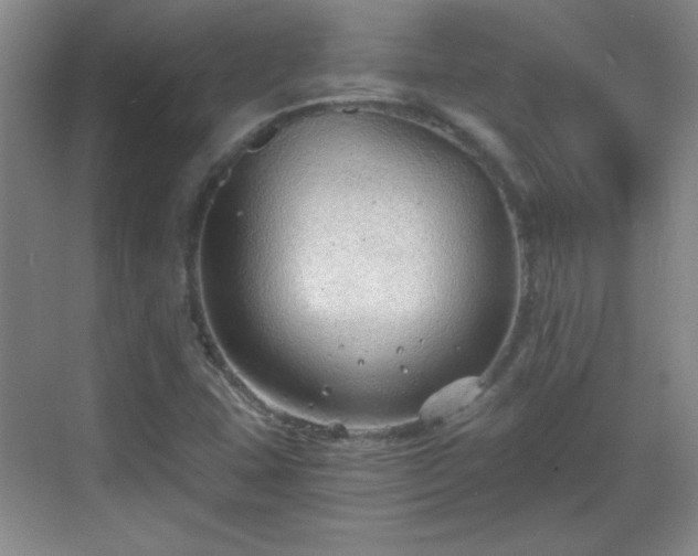 X0000068831407200605081201