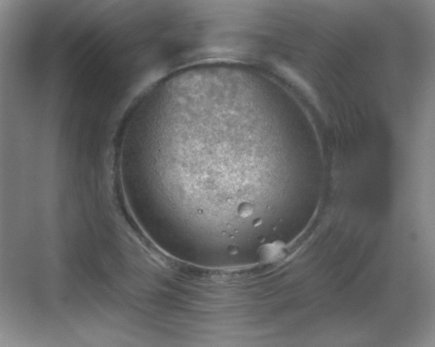 X0000068831411200605081201