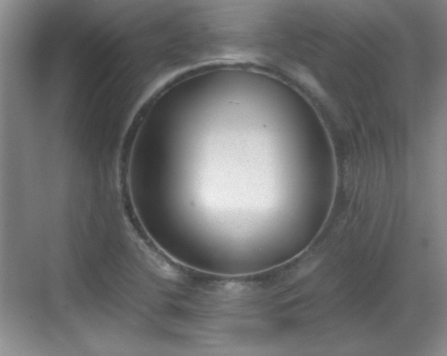 X0000068831412200605081201