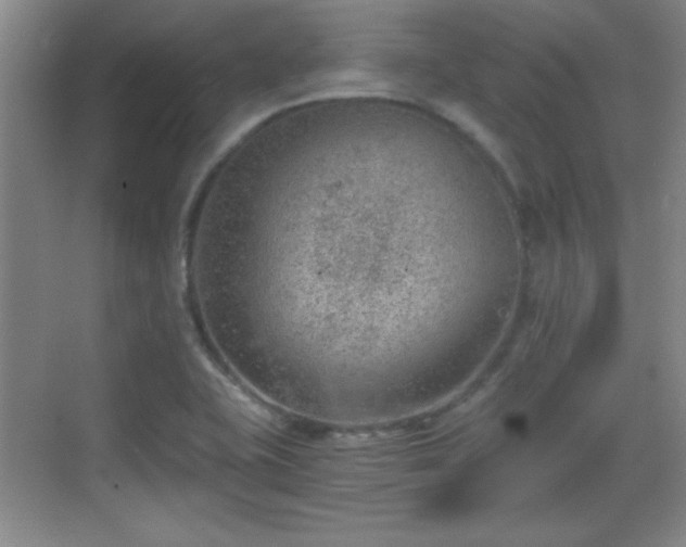 X0000068831415200605081201