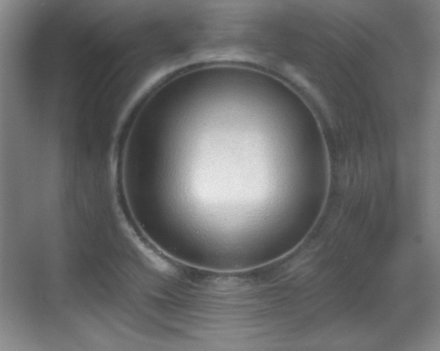 X0000068831416200605081201