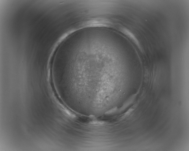 X0000068831419200605081201