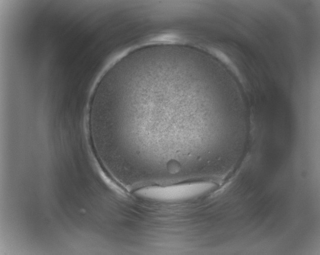 X0000068831421200605081201