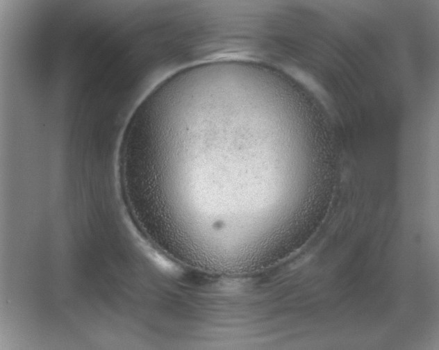 X0000068831423200605081201