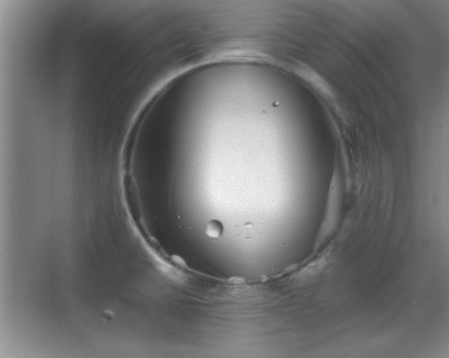 X0000068831430200605081202