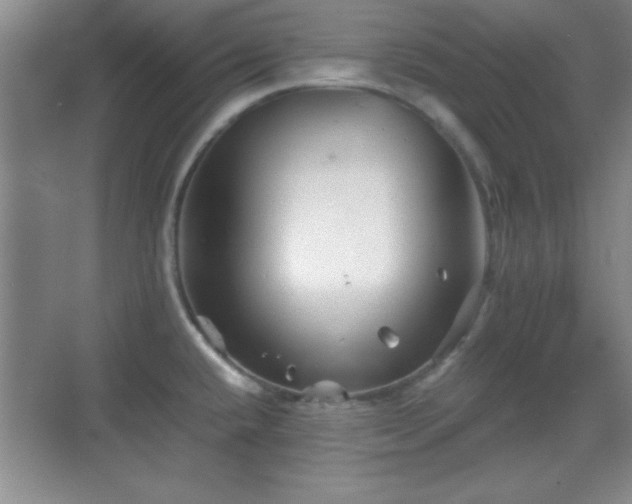 X0000068831432200605081202