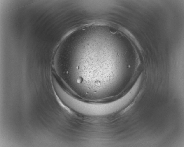 X0000068831433200605081202