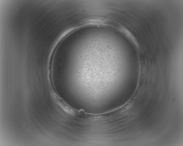 X0000068831435200605081202