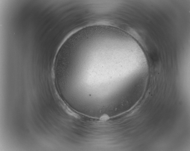 X0000068831436200605081202