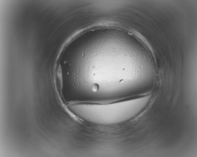 X0000068831437200605081202