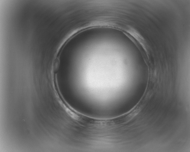 X0000068831438200605081202