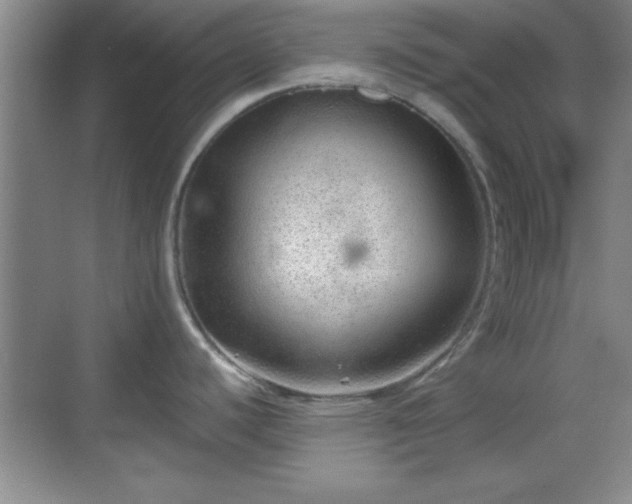 X0000068831440200605081202