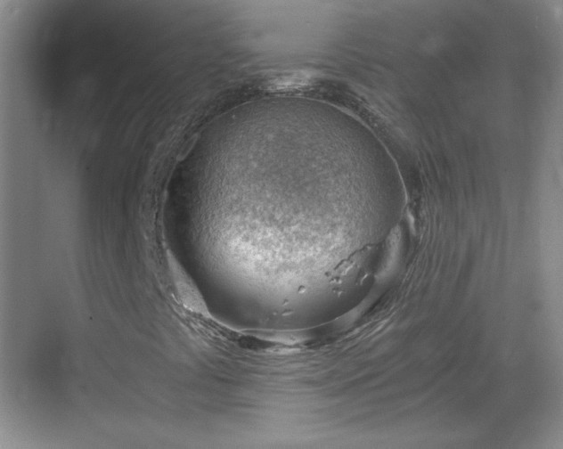 X0000068831441200605081201