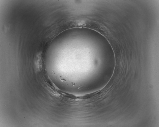 X0000068831442200605081201